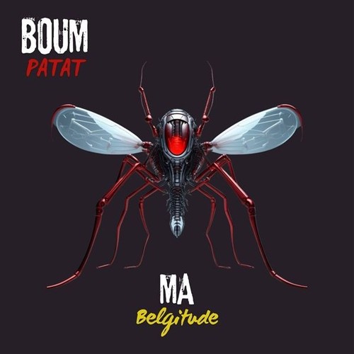 Audio nuovo boum - audio,